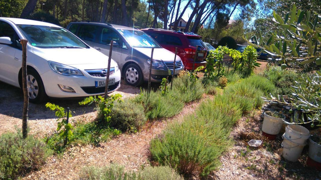Apartmani Nimcevic Biograd Na Moru Exteriör bild